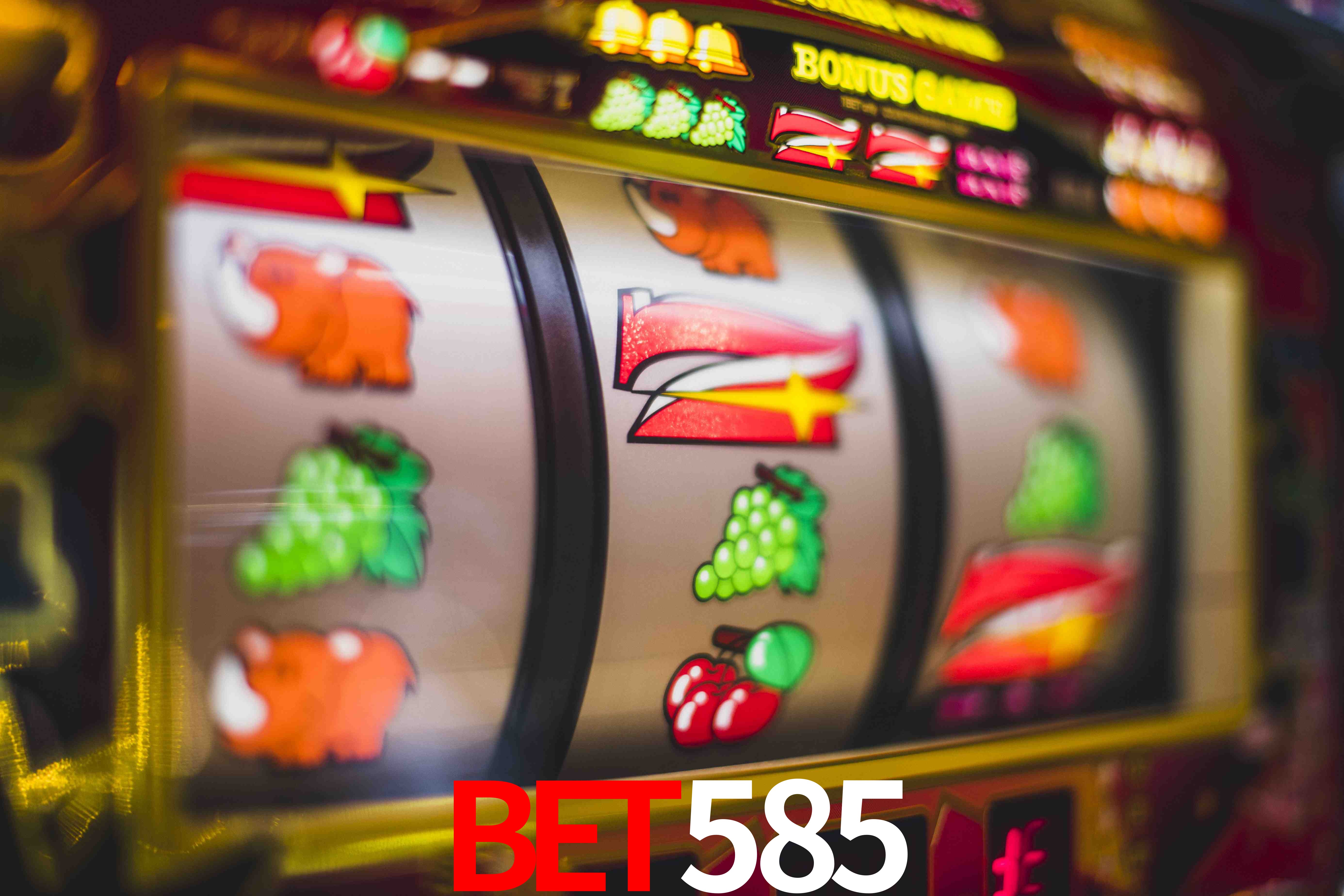 Football Betting bet585